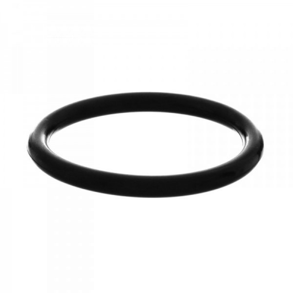 NEG O-Ring (31x2,5mm) außen 36mm für Raumsparsiphon NX65R